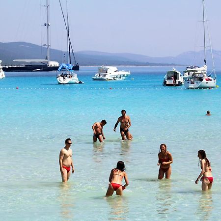 Apartments With A Parking Space Sali, Dugi Otok - 8084 المظهر الخارجي الصورة